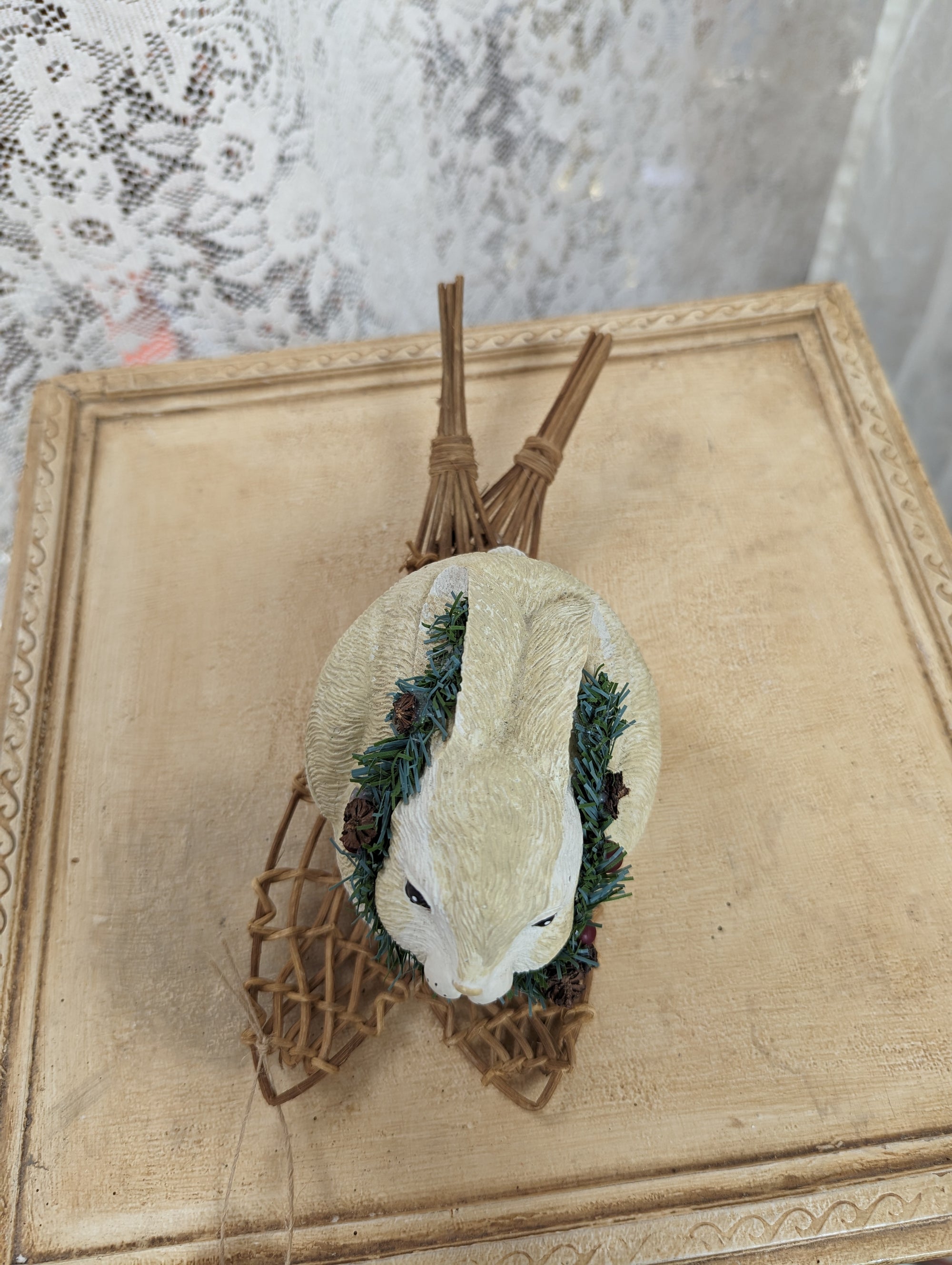 Adorable Snow Shoeing Bunny
