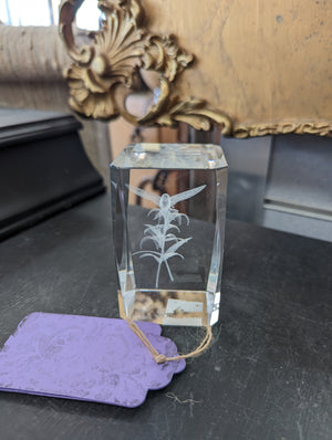 Laser Etched Hummingbird in Glass
